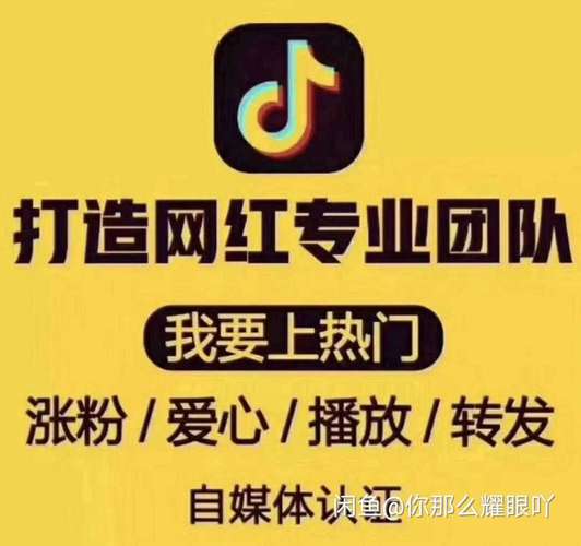 从新手到网红:快手刷粉平台的助力