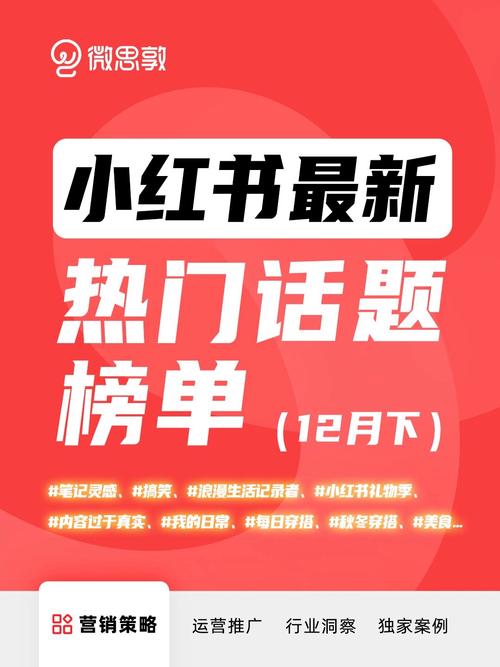 标题：小红书关注度提升秘籍：实用技巧助你成为焦点！