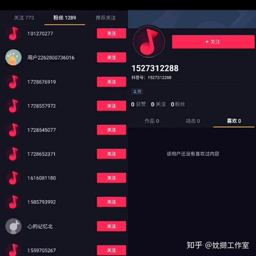 抖音粉丝自助购买,打造个性化热门账号