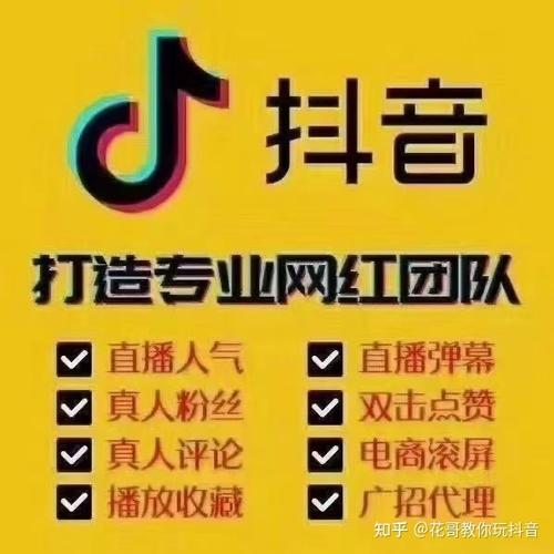 解锁抖音涨粉新高度，网站平台下单让你一飞冲天