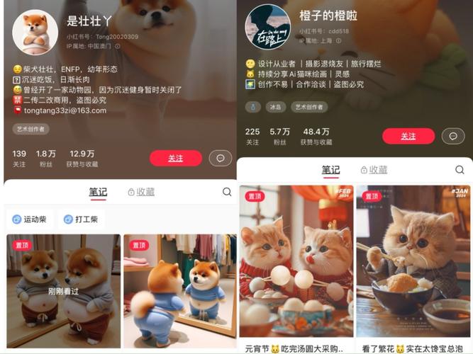 小红书粉丝自助下单,快速积累人气与关注