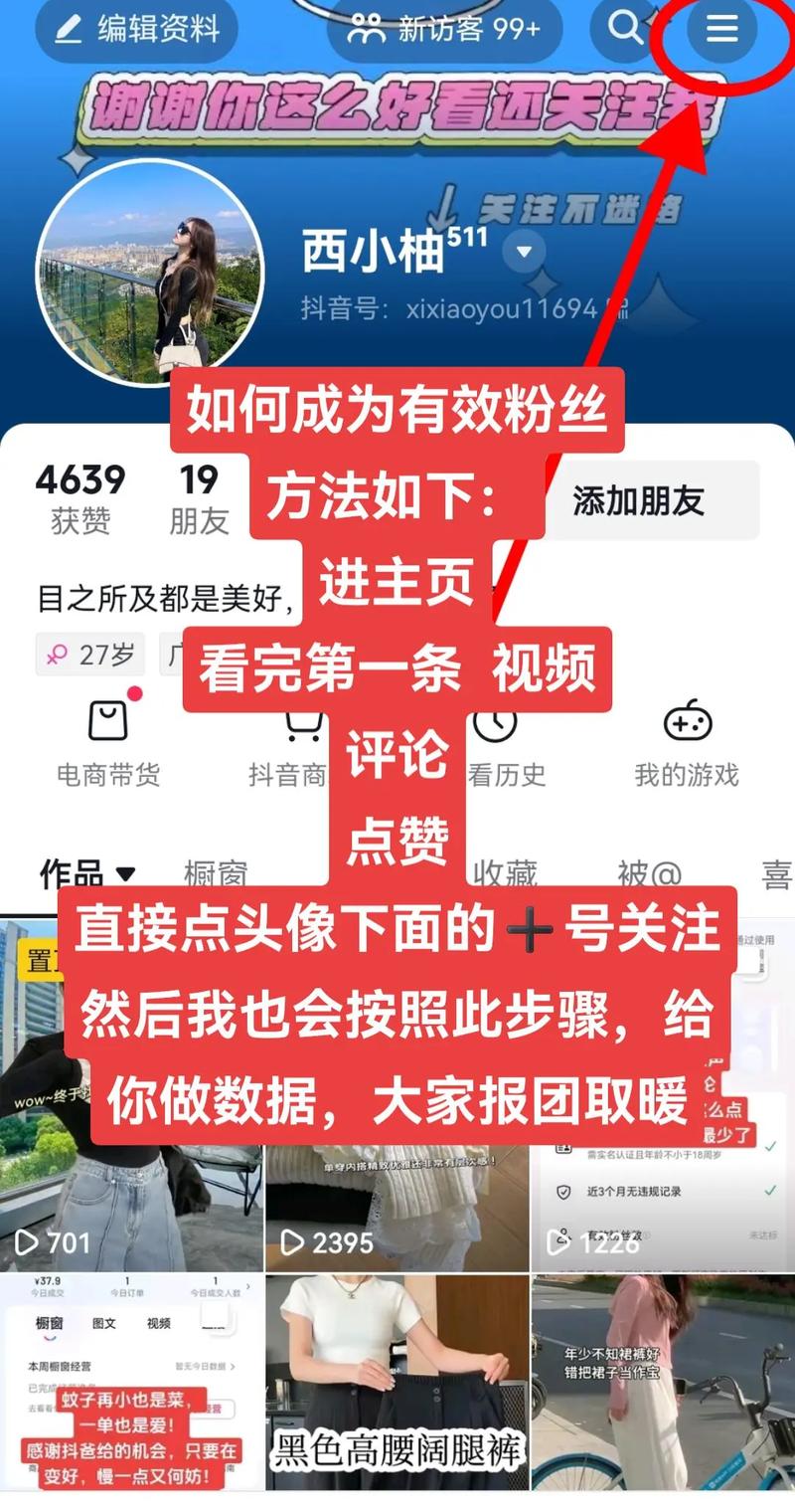 揭秘快手刷粉:如何构建可持续的粉丝增长策略?