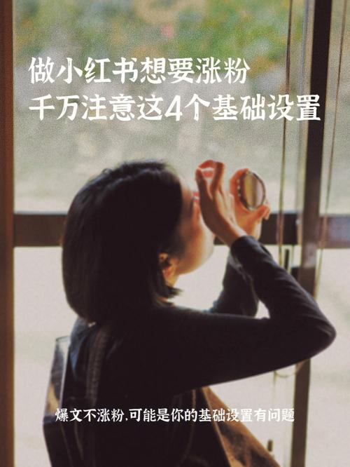 **小红书自助购粉初体验：网红成长日记揭秘**