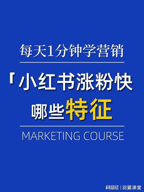 轻松实现涨粉目标，小红书粉丝自助下单必备