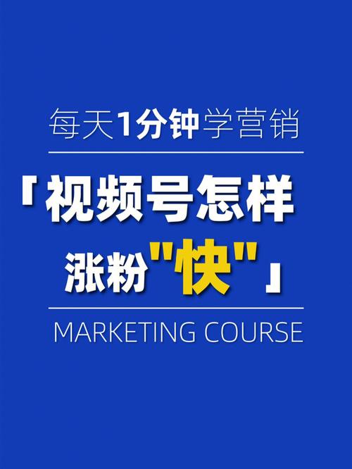 **揭秘：视频号如何迅速累积1000有效粉丝**
