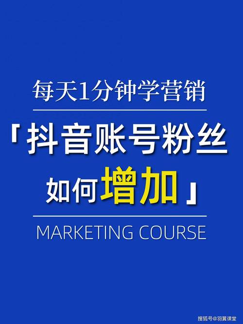 **标题：揭秘视频号从零到万粉的蜕变之路**