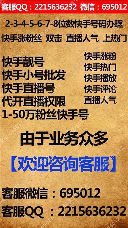 揭秘快手刷粉现象:背后的真相是什么?