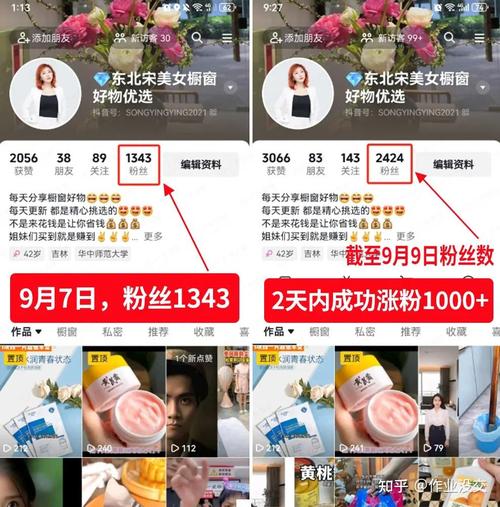 精准吸粉不是梦，小红书粉丝自助平台实战分享