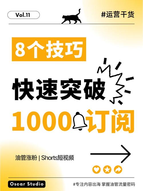 **标题：揭秘：如何快速为视频号累积1000有效粉丝？**