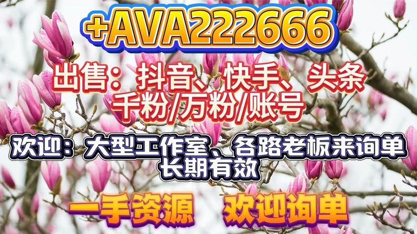 **揭秘抖音账号市场：千粉账号如何定价？**