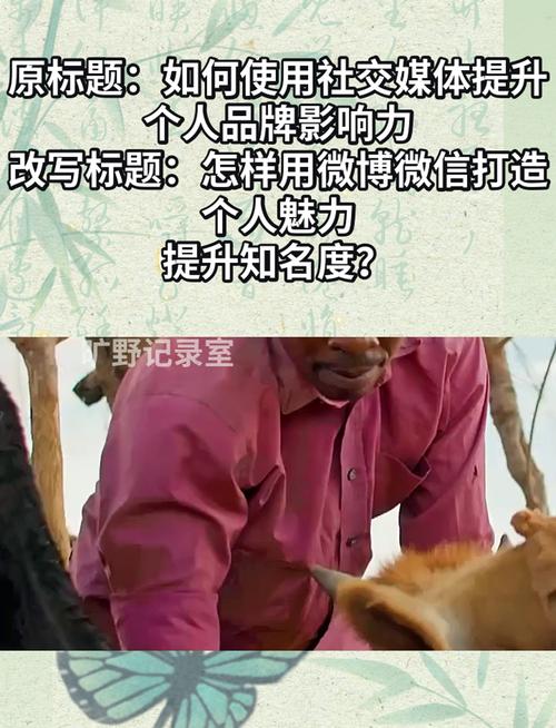 微博自助刷粉丝平台,轻松提升个人影响力