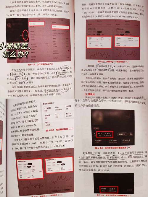 **标题:掌握小红书涨粉秘籍,轻松变身人气红人!**