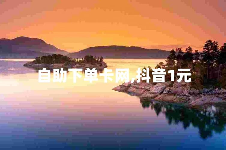 自助下单新体验，抖音粉丝飙升不是梦