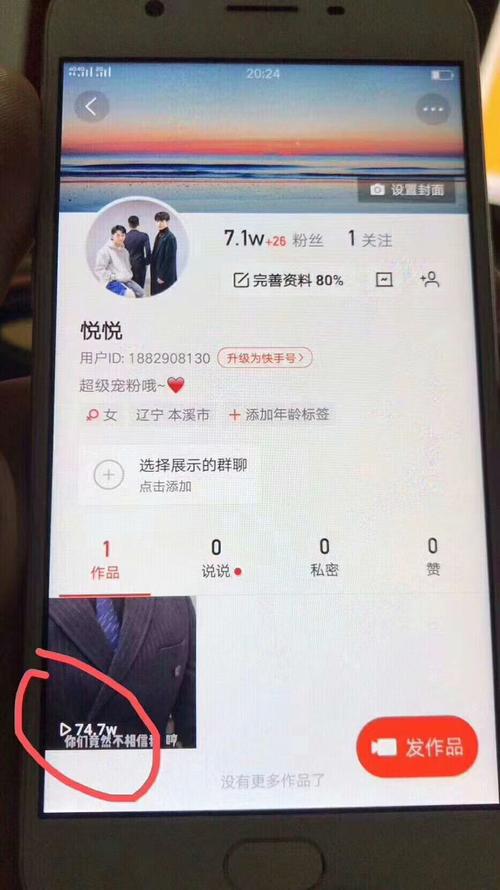 快手刷粉平台大比拼，看看哪个最适合你