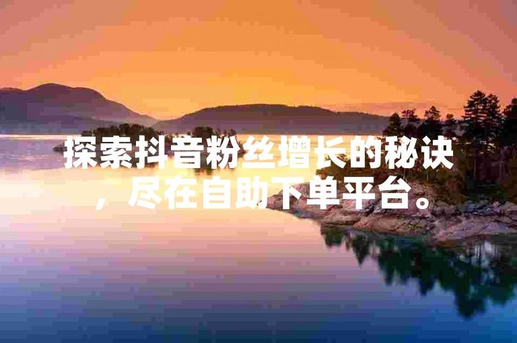 抖音粉丝增长新方案：自助下单平台高效便捷