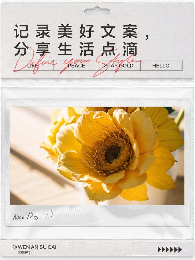 **标题:小红书粉丝专属:深度生活分享,发现不一样的美好**