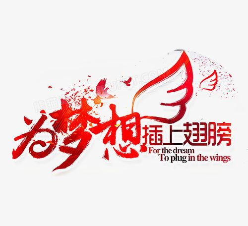 抖音粉丝自助购买,为你的梦想插上翅膀