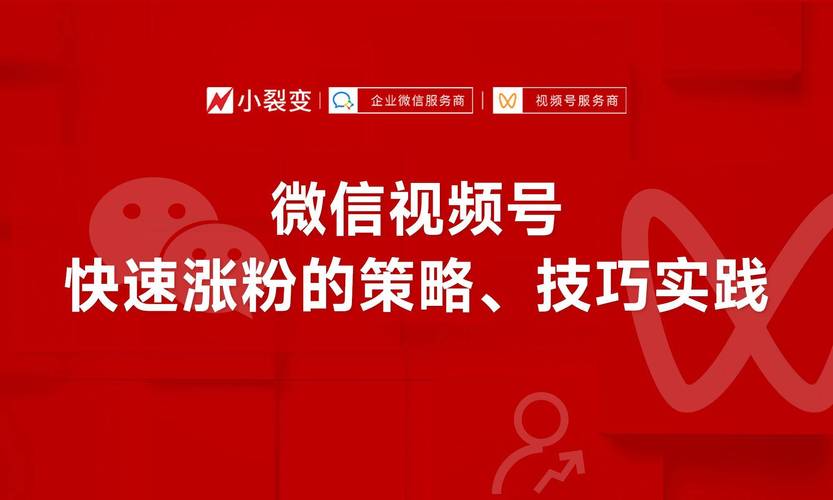 **标题：揭秘视频号涨粉秘籍：实战操作，助你粉丝量飙升！**
