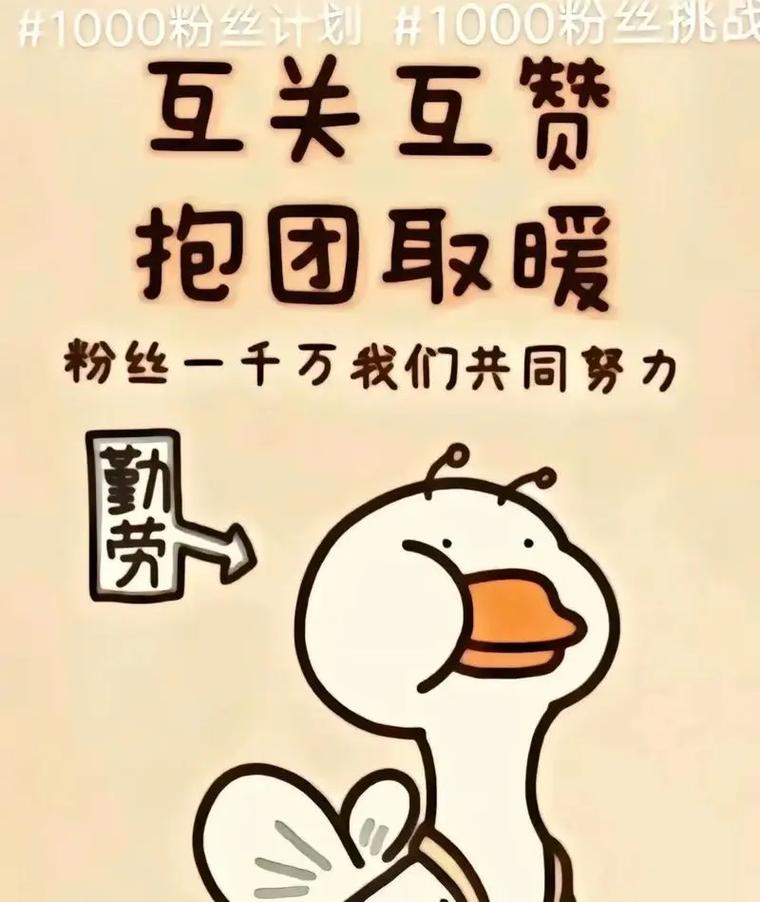 **标题:视频号吸粉秘籍:轻松斩获1000粉的六大策略!**
