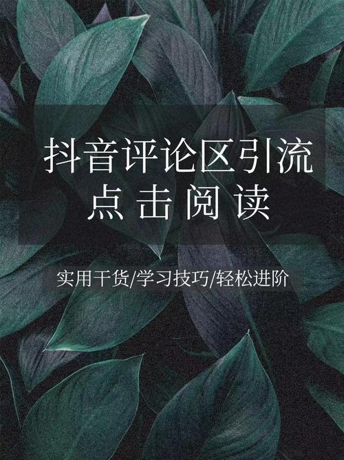 轻松玩转抖音,1000粉丝自助平台是你的秘密武器