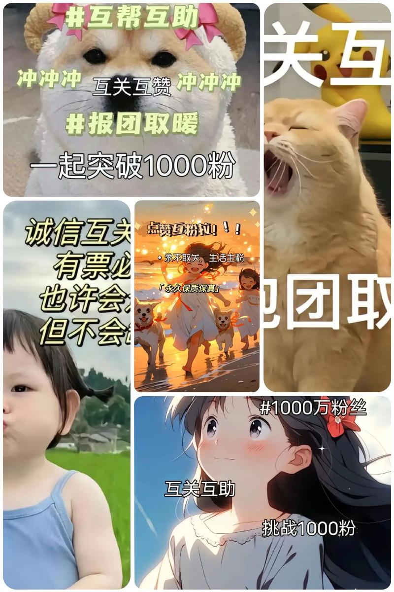 **警惕!抖音粉丝增长无捷径,远离“一元秒杀1000死粉”陷阱**