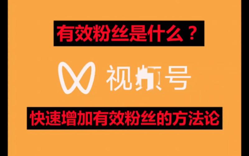 **标题：揭秘视频号粉丝快速增长秘籍：刷粉实战策略大公开**