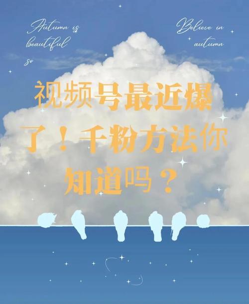 **快手粉丝飙升秘籍：揭秘一元千粉的奥秘！**