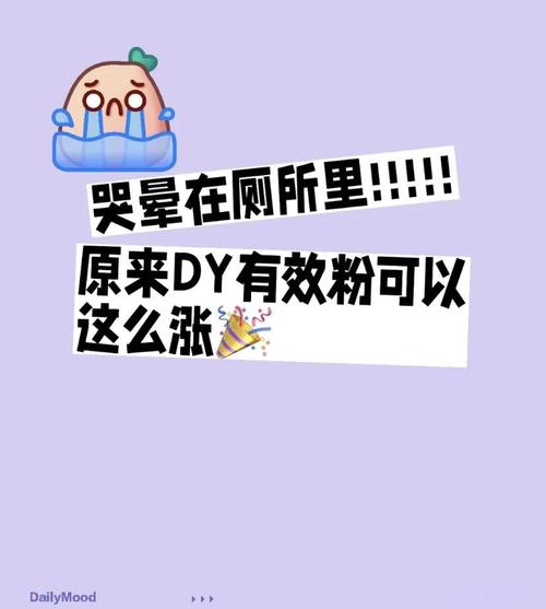 揭秘小红书粉丝增长背后的秘密武器：买粉策略解析