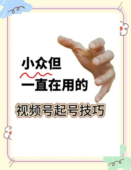 **标题:从零打造热门视频号:我的快速刷粉实战秘籍**