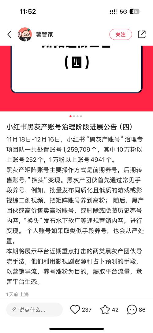 **小红书粉丝购买心得:安全增粉,远离封号风险**