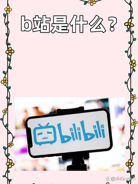 **标题:哔哩哔哩代刷网站:打造你的B站明星之路!**