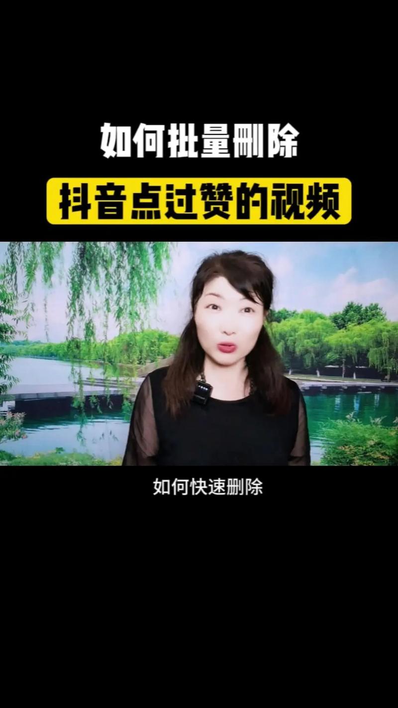 玩转抖音必备技巧:揭开刷赞官网的神秘面纱!