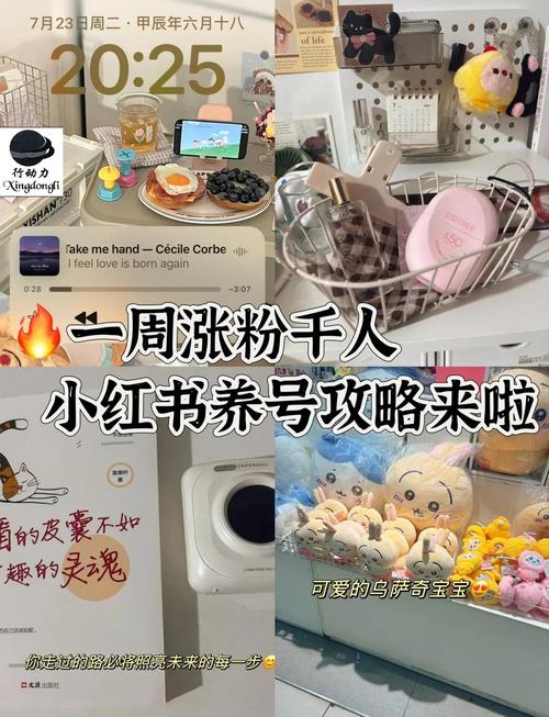 微博涨粉秘诀大揭秘：买粉自助助你轻松达成目标