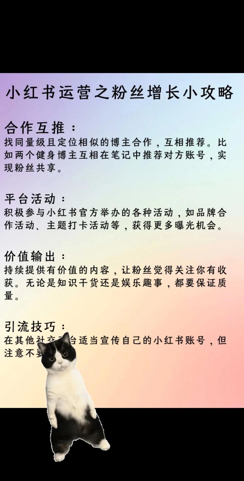 **标题：小红书粉丝飙升秘籍：揭秘三大增长策略！**