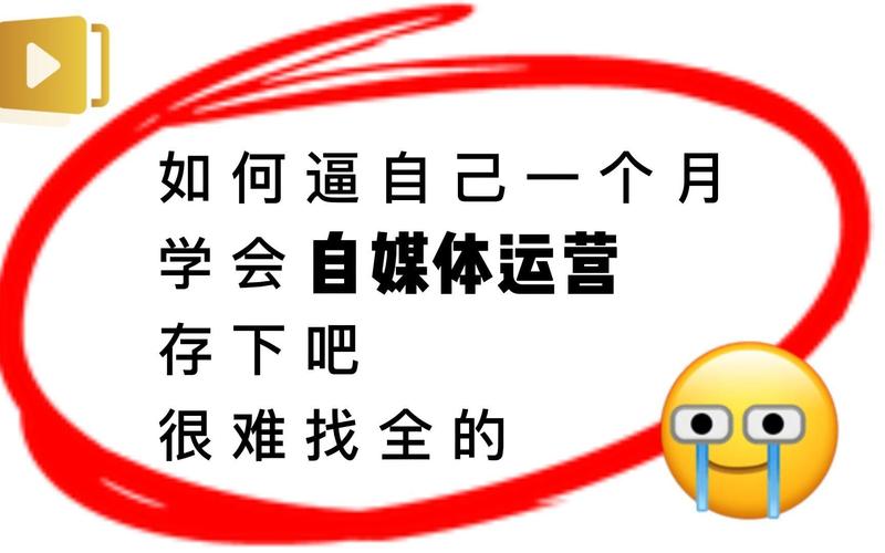 **揭秘哔哩哔哩播放量代刷:UP主如何合规提升影响力**