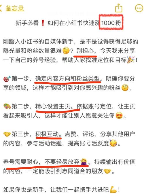 在小红书如何巧妙利用买粉平台实现高效增长?我来告诉你!