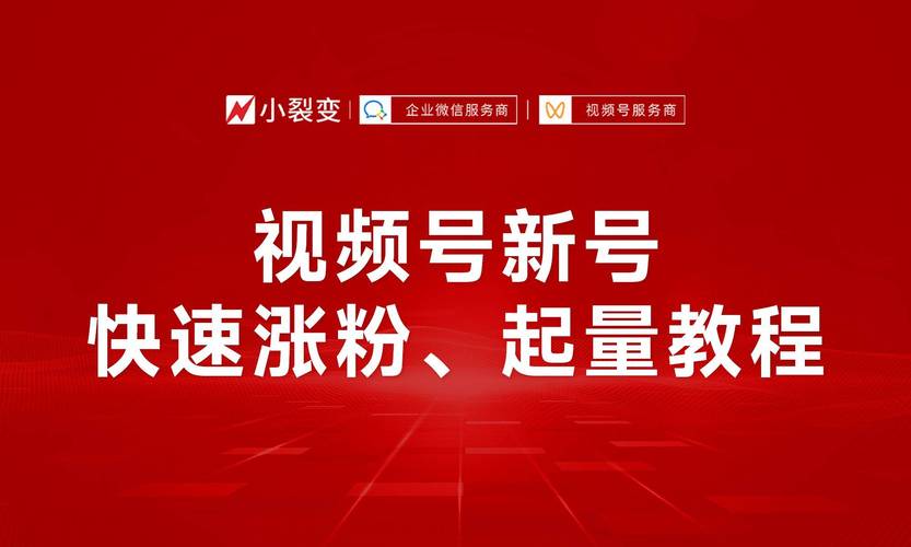 **揭秘:我如何通过精匠内容引爆视频号粉丝潮!**