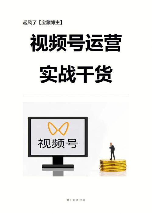 **标题：精准定位，轻松吸引目标粉丝——视频号运营秘籍**