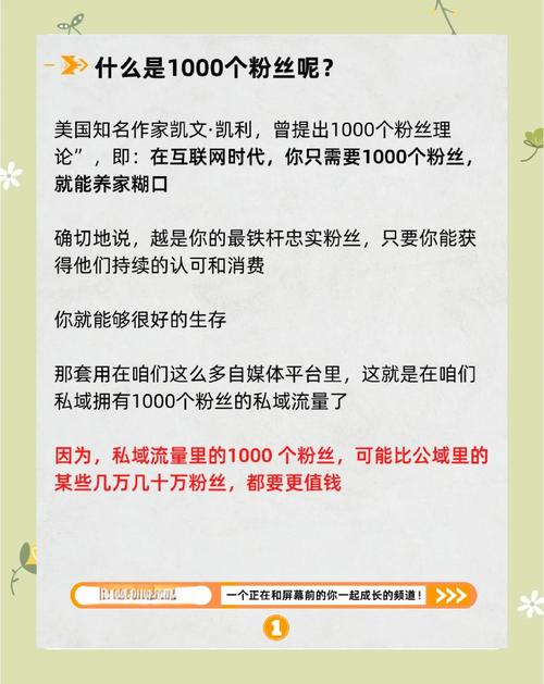 **从零到万:我的视频号粉丝增长实战全记录**
