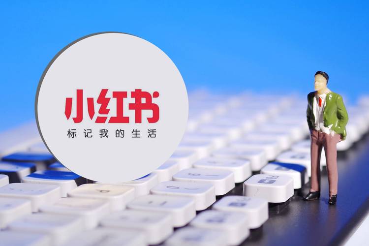 **标题：小红书点赞粉丝下单平台的高效利用策略**
