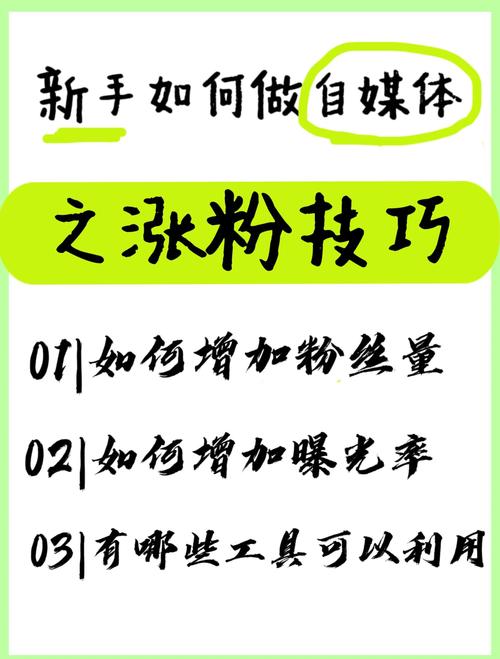 **标题:小红书涨粉全攻略:揭秘网红达人的快速养成秘诀!**