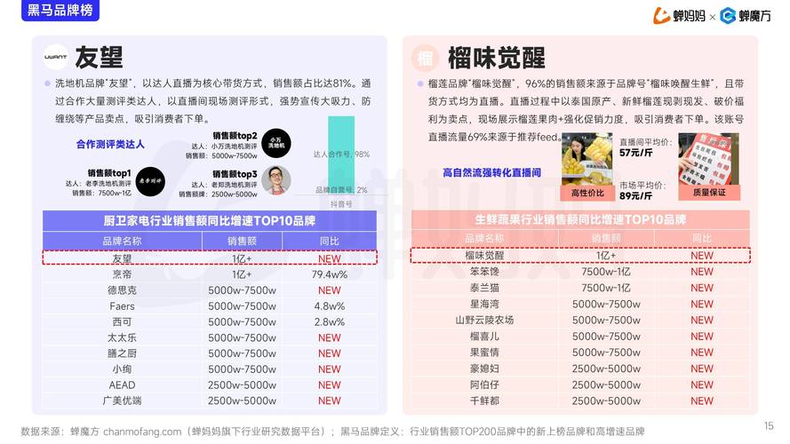 **标题:跃升抖音影响力:揭秘购买1000粉丝背后的智慧策略**
