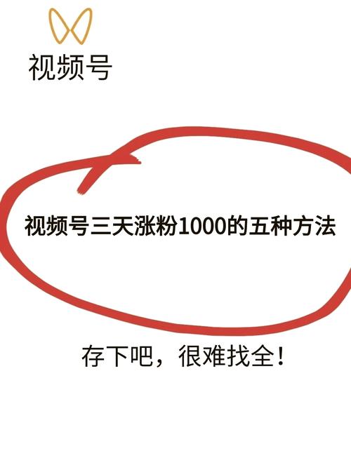 **标题:揭秘视频号爆红秘籍:快速提升曝光与点赞量的绝招!**