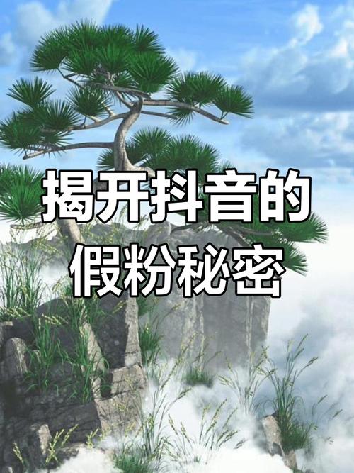 揭秘抖音成功背后的秘密:粉丝自助下单平台的魔力!