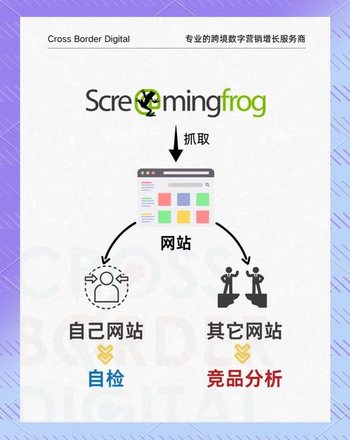 独家爆料:快手在线刷粉丝网站的秘密武器全解析