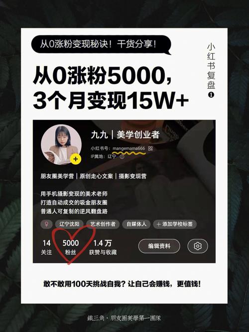 **小红书粉丝增长秘籍:从0到10万的蜕变之旅**