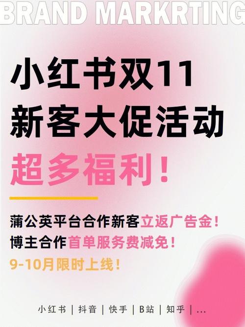 **小红书营销新捷径:深度挖掘粉丝购买平台的力量**
