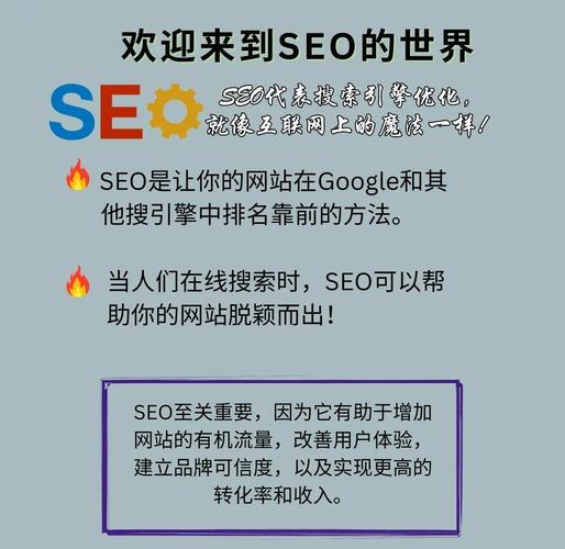 想要快速增加网站流量?试试哔哩代刷网!
